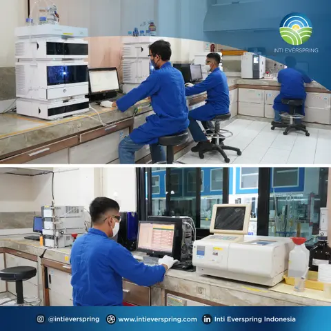 PT Inti Everspring Indonesia: Maintaining Quality through ISO 17025 Certification